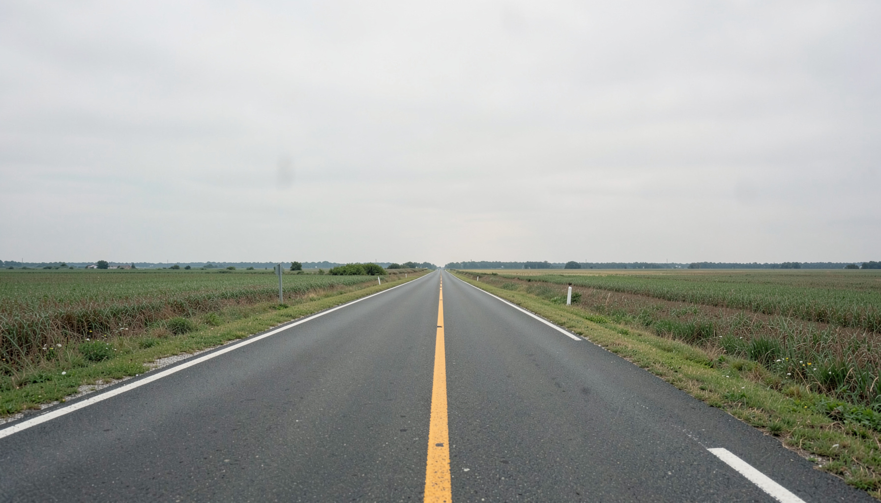 Wide photograph of a quiet two-lane highway stretching across flat Illinois farmland under a soft overcast sky, with muted greens and pale grays dominating the scene